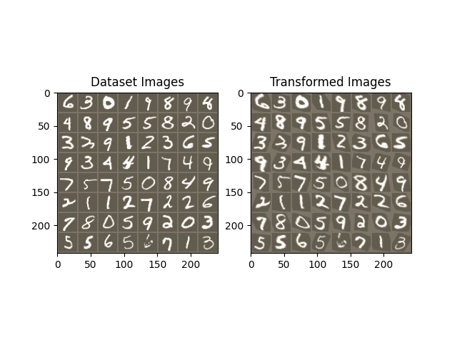 ../_images/sphx_glr_spatial_transformer_tutorial_001.png